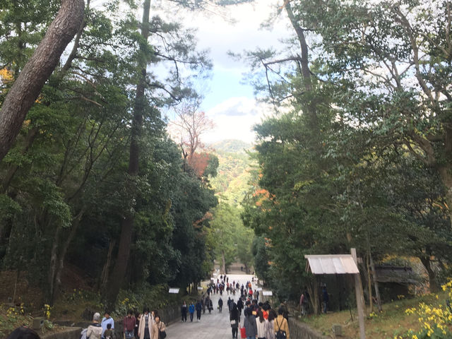 【島根】全国の神様が集まるパワースポットへ