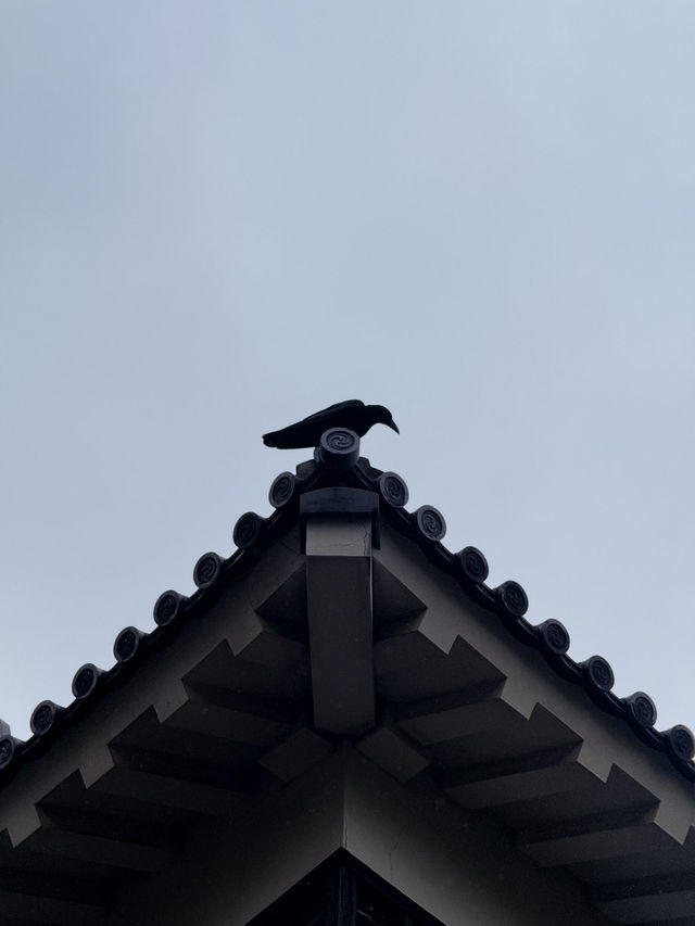 松山｜3個家族4種家徽 多次火災重建的機關巧妙的松山城 