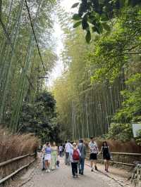 🎋 ป่าไผ่อาราชิยาม่า – ทางเดินเล็ก ๆ ที่พาหัวใจไปไ