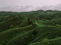 ขับรถเที่ยวหน้าฝน… ชมวิวถนนลอยฟ้า​ 