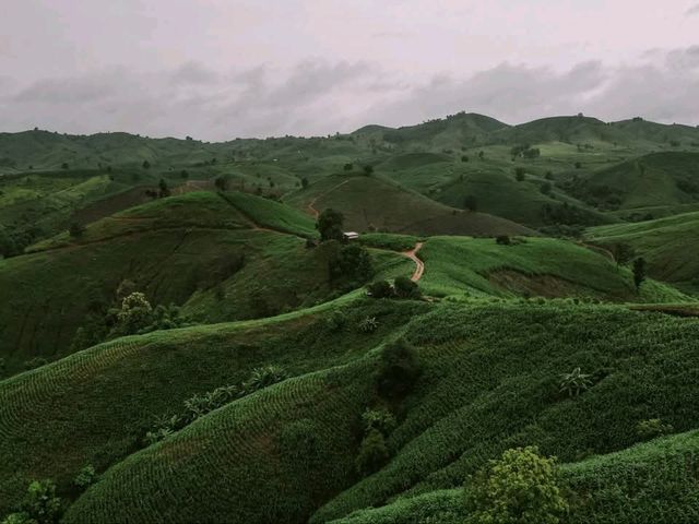 ขับรถเที่ยวหน้าฝน… ชมวิวถนนลอยฟ้า​ 