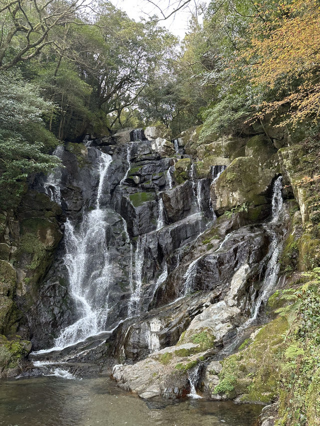大大大推——福岡糸島一日遊 