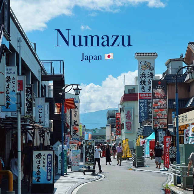 Numazu | Locals Skip Kamakura for This Charming Fishing Town! 🎣🏖️