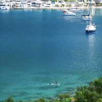 Kaş: The Jellyfish Sea Truly Exists! 🇹🇷🌊