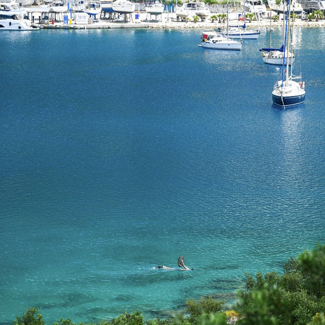 Kaş: The Jellyfish Sea Truly Exists! 🇹🇷🌊
