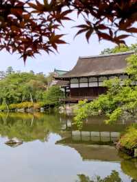 京都 | 平安神宮神苑，彷彿走入莫內的花園