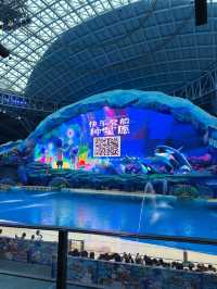 親子遊🇨🇳長隆飛船樂園🎡🎠🎪全攻略，全室內