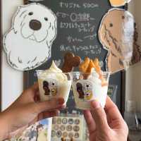 คาเฟ่สไตล์โฮมมี่ บนเกาะซาโดะ จ.นีงาตะ 🥯🐶