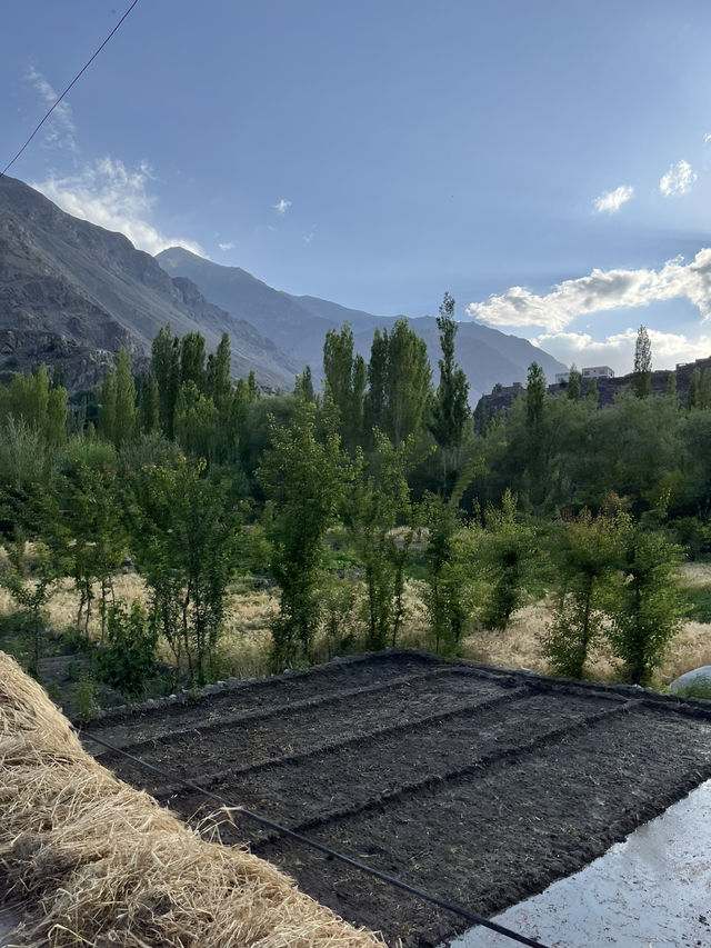Mountains - fresh air - greenery 