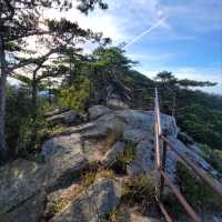 Big Views & Forest Feels in Hwangjangsan