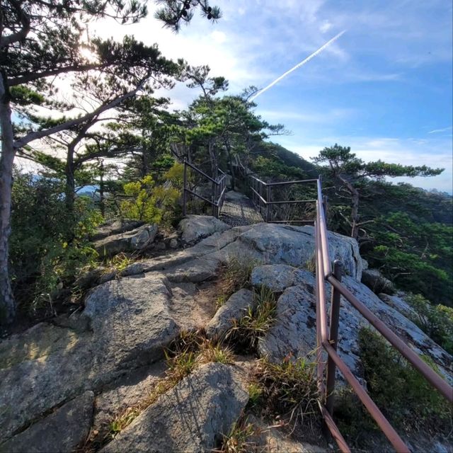 Big Views & Forest Feels in Hwangjangsan
