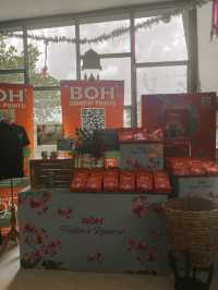 Sip, Shop & Savor: The BOH Tea Boutique Experience