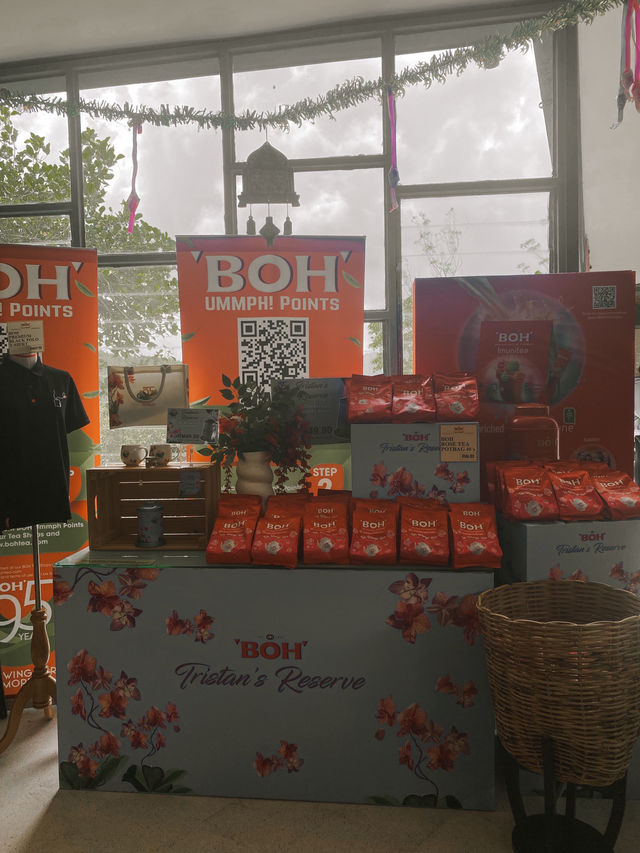 Sip, Shop & Savor: The BOH Tea Boutique Experience