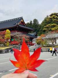Nikko Japan