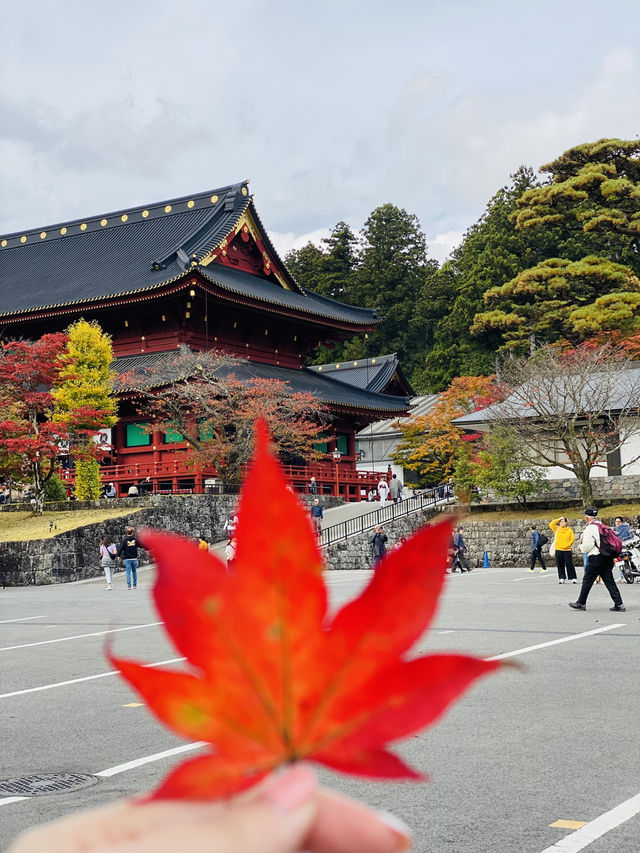 Nikko Japan