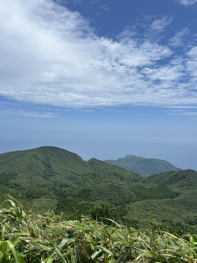 【八丈島】海、山、牧場、自然溢れるおすすめ絶景スポット！