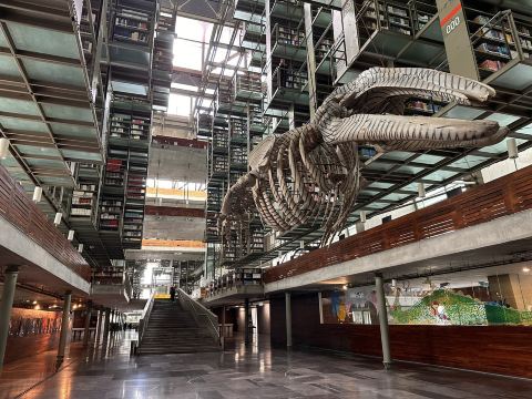 ヴァスコンセロス図書館｜本と緑が浮かぶ“知のオアシス”】 天井吊り棚
