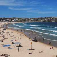  Bondi Beach หาดที่มีชื่อเสียงระดับโลก!