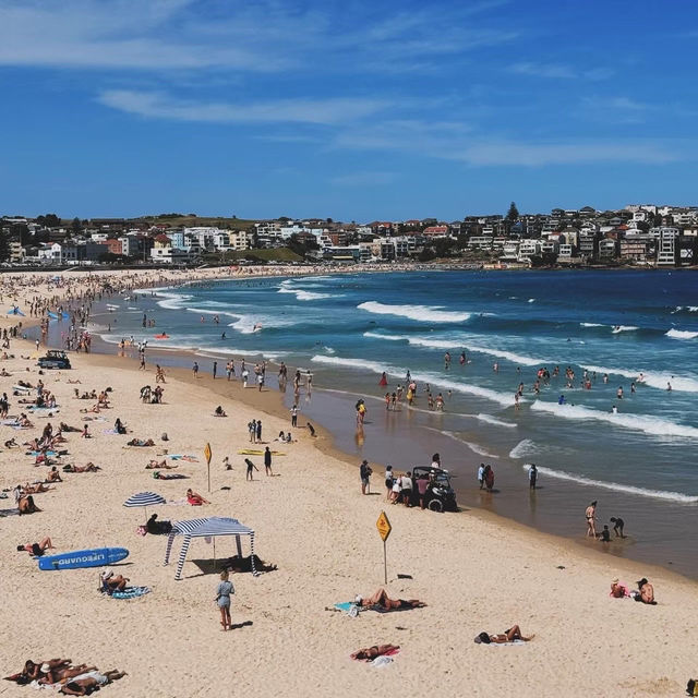  Bondi Beach หาดที่มีชื่อเสียงระดับโลก!
