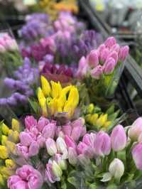 Hidden gem for flower lovers