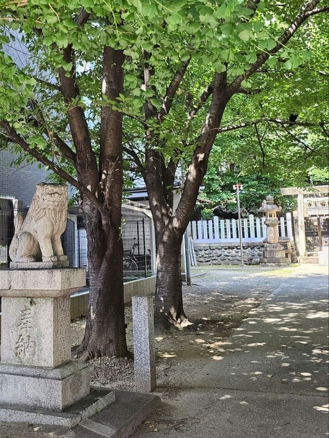名古屋大須鬧街旁的靜謐神社〔日出神社〕⛩️🌿