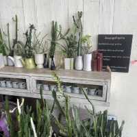 ร้านอาฟเตอร์นูน บางปู คาเฟ่ริมทะเลบรรยากาศดี