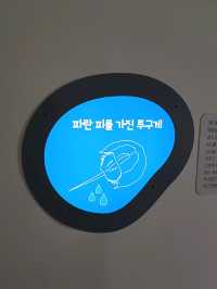 바다의 숨결과 역사를 잇는 국립해양박물관