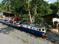Phuket Family Fun: Step into the Wonderland of Rabbit Hole! 🐰🚂