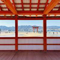 ⛩️ Great Torii Summer Survival Guide