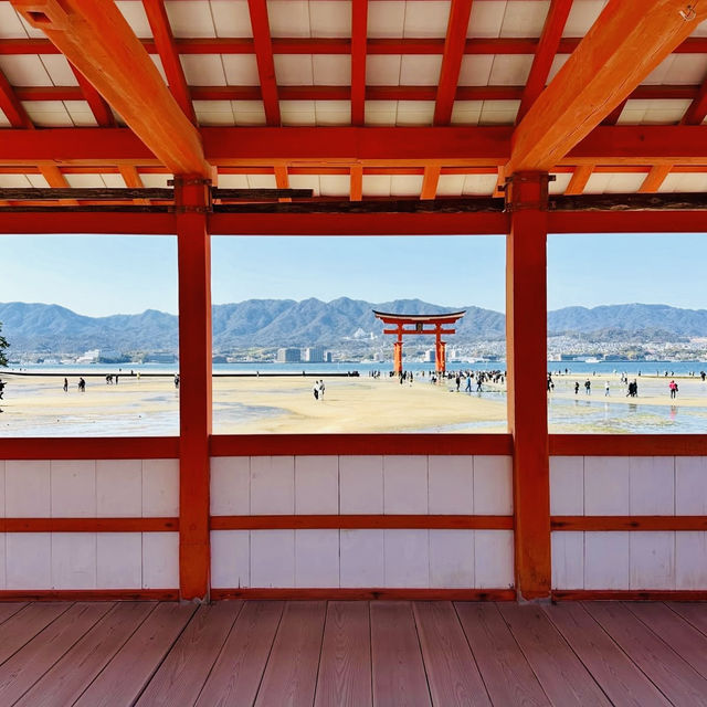 ⛩️ Great Torii Summer Survival Guide