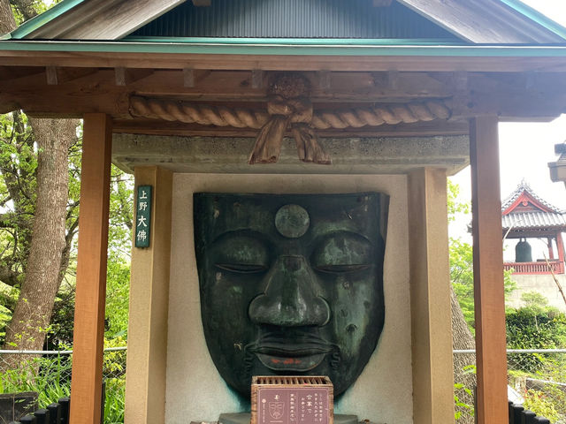 Why You Absolutely Must Explore Ueno Park in Tokyo! 🌳🐼🏛️