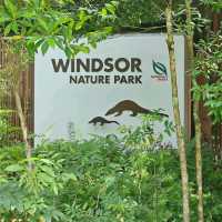 MacRitchie Reservoir & TreeTop Walk