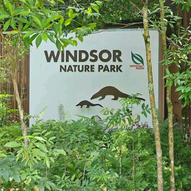 MacRitchie Reservoir & TreeTop Walk