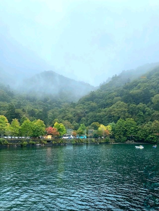 Exploring the Splendor of Nikkō Tōshogū Shrine