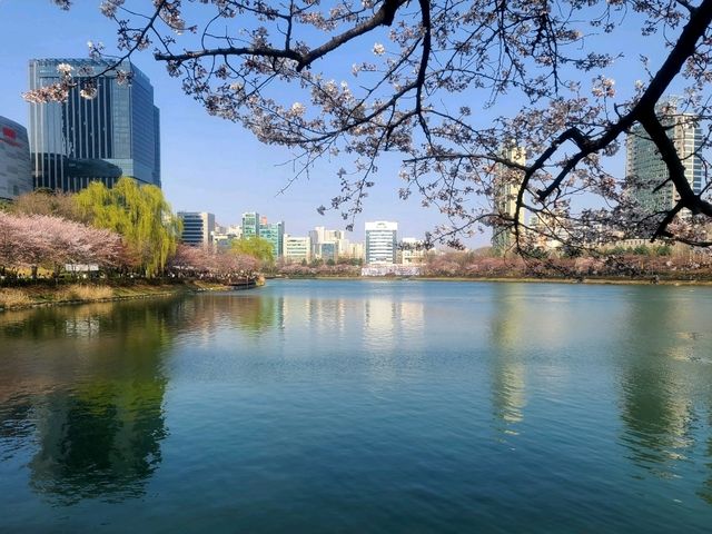 소피텔 앰배서더 서울 호텔 프레스티지스위트룸 호캉스