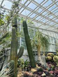 神代植物公園🇯🇵の大温室でサボテン鑑賞🌵⟡.·