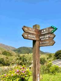 Summer Escape to Qingtiangang Grassland