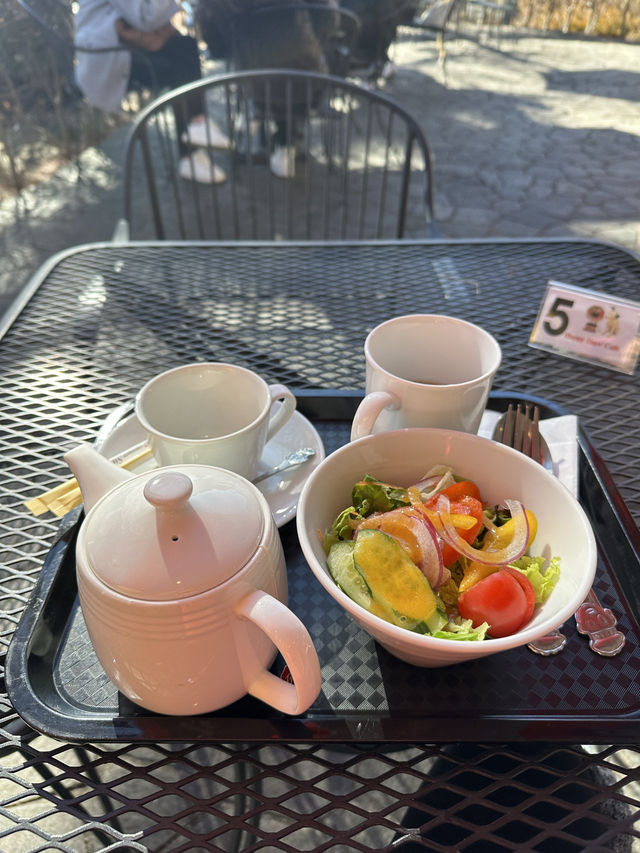 遊河口湖大池公園 在湖畔賞新鮮野菜😋