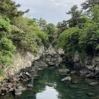 Summer Serenity at Yong Yeonjeong Garden