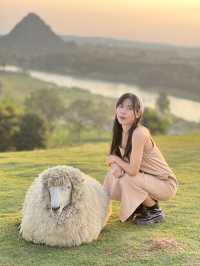 คาเฟ่  ฟาร์มแกะในเมืองเชียงราย ABONZO