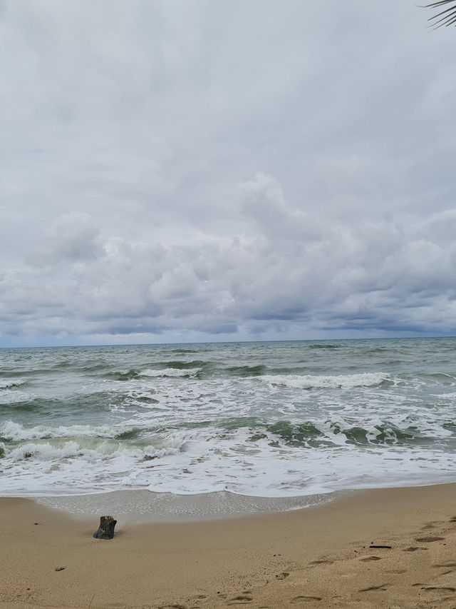 ติดเกาะช้างที่ โรงแรม Nature beach 