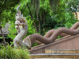 Paying Respects at Wat Tha Due