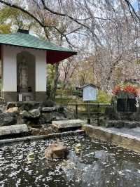 @ ARASHIYAMA IN KYOTO.