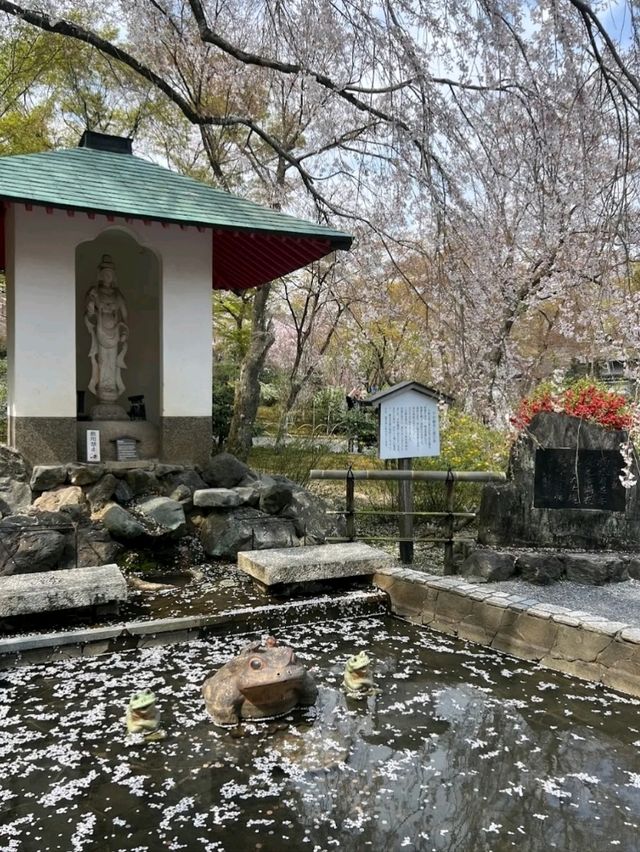 @ ARASHIYAMA IN KYOTO.