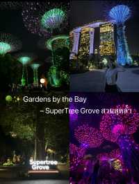 แชร์ประสบการณ์เที่ยว Gardens by the Bay @สิงคโปร์