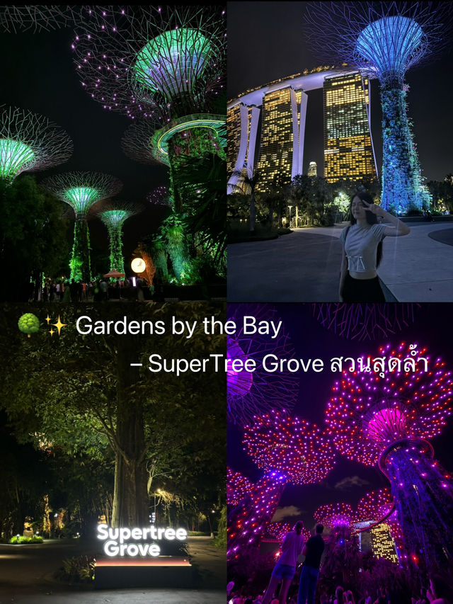 แชร์ประสบการณ์เที่ยว Gardens by the Bay @สิงคโปร์