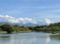 台東森林公園