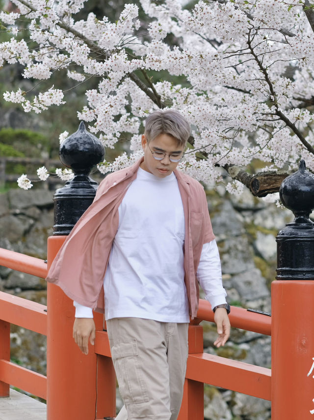  ปราสาทฮิโรซากิ 🌸 ปราสาทกลางซากุระแห่งโทโฮคุ