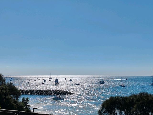 索伦托码头（Sorrento Jetty）与海上公路渡轮（Sea Road Ferries）——莫宁顿半岛的海上门户