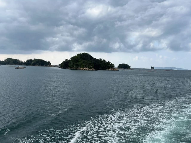 🌊208の島々が織りなす絶景！九十九島で海と空のパノラマ体験🚢